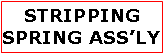 Text Box: STRIPPING SPRING ASSLY